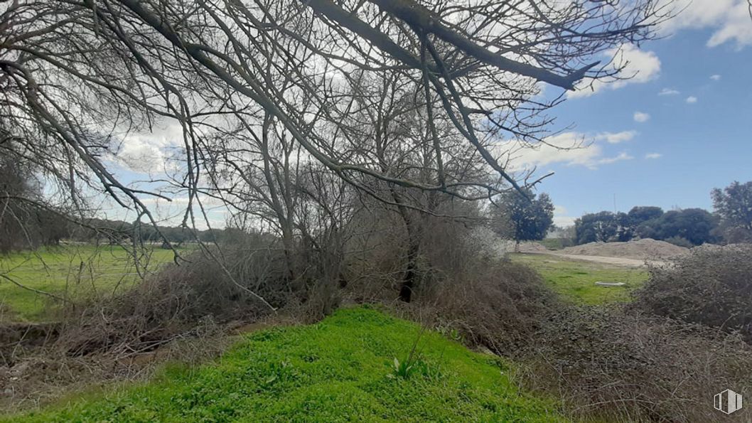 Suelo en venta en Calle Albaricoque, Alpedrete, Madrid, 28430 con nube, cielo, planta, comunidad de plantas, paisaje natural, ramita, árbol, vegetación, hierba y maletero alrededor