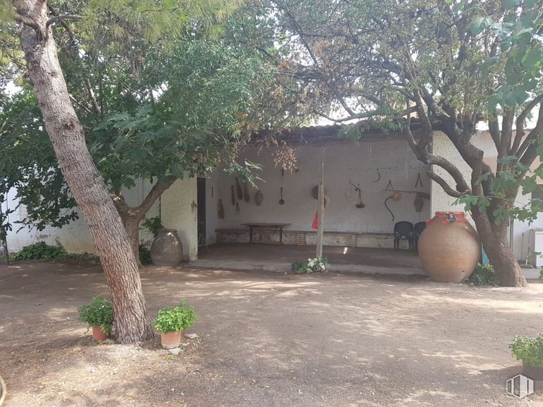 Suelo en venta en Centro urbano, Corral de Almaguer, Toledo, 45880 con sombra, patio, patio trasero, maceta, jardín, patio, hacienda, calzada, losa y planta de interior alrededor