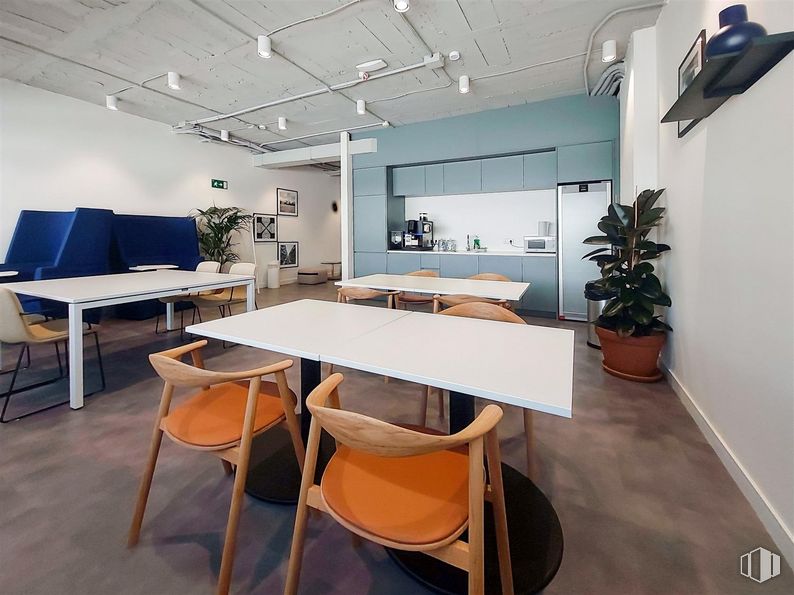 Oficina en alquiler en Regus Tres Cantos, Ronda Poniente, 2, Tres Cantos, Madrid, 28760 con silla, planta de interior, mesa, propiedad, planta, mueble, arquitectura, interiorismo, maceta y suelo alrededor