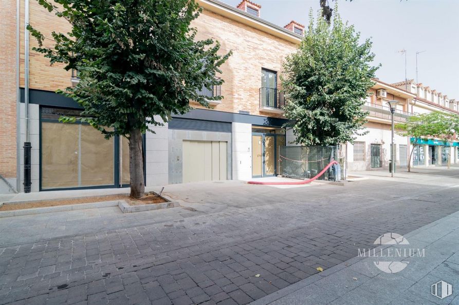 Local en alquiler y venta en Avenida Constitución, San Fernando de Henares, Madrid, 28830 con puerta, propiedad, edificio, ventana, superficie de la carretera, asfalto, árbol, cielo, acera y diseño urbano alrededor