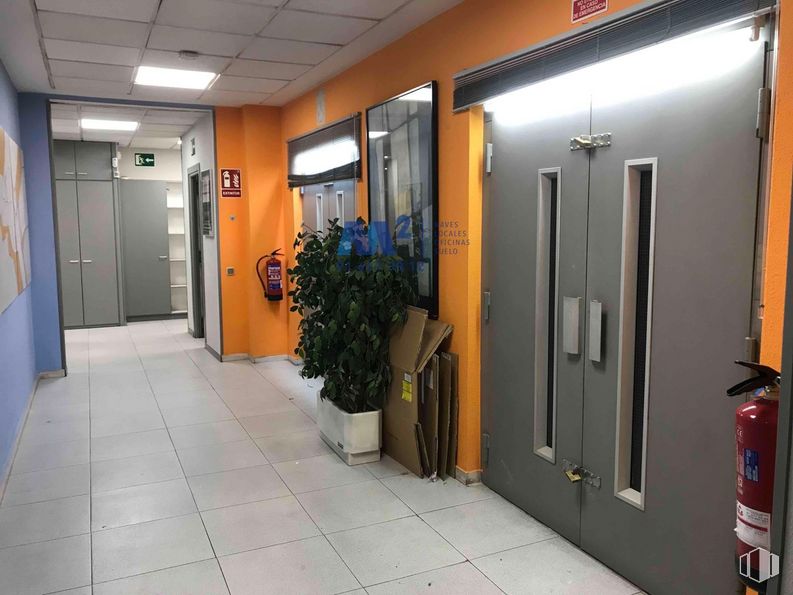 Oficina en venta en Zona San Blas, San Blas - Canillejas, Madrid, 28037 con planta de interior, ebanistería, propiedad, planta, maceta, puerta, accesorio, diseño de interiores, pavimentos y piso alrededor