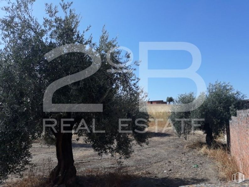 Land for sale at Calle El Molino, Calera y Chozas, Toledo, 45686 with sculpture, sky, plant, tree, land lot, landscape, font, tints and shades, art and road around