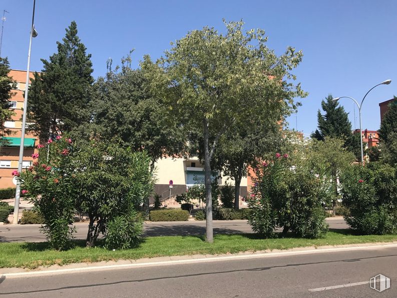 Local en venta en Calle Habana, 37, Fuenlabrada, Madrid, 28945 con luz de la calle, planta, cielo, edificio, superficie de carretera, diseño urbano, lote de tierra, árbol, asfalto y arbusto alrededor