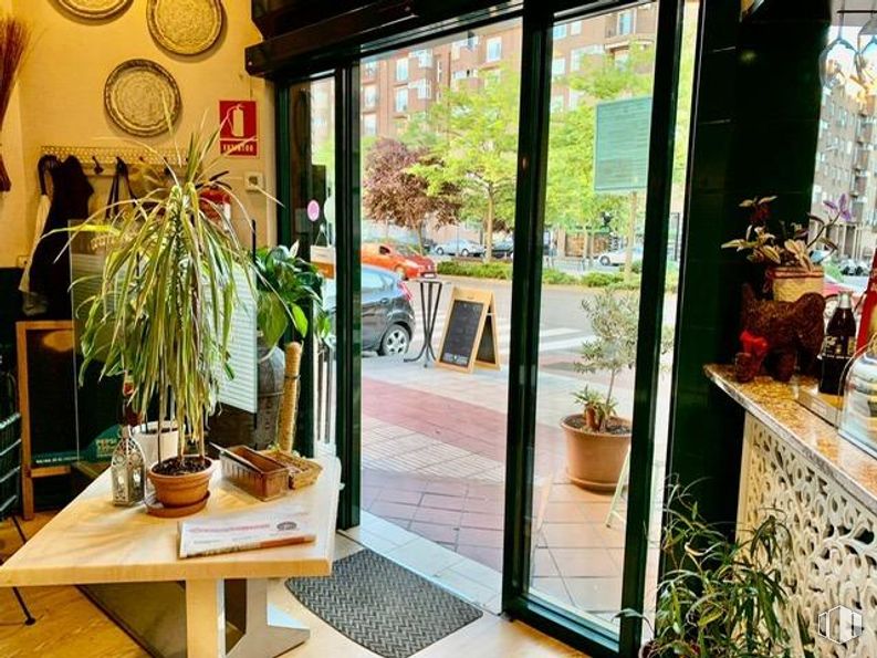 Local en alquiler y venta en Avenida Retamas, Alcorcón, Madrid, 28922 con planta de interior, mesa, puerta, planta, propiedad, edificio, ventana, maceta, interiorismo y accesorio alrededor