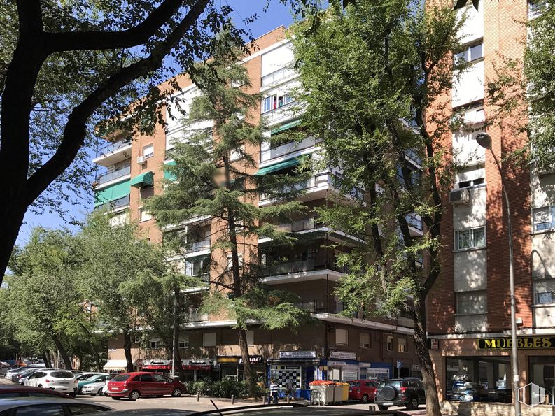 Retail for rent at Calle Fernán Caballero, Carabanchel, Madrid, 28019 with building, tree, sky, vehicle, architecture, tower block, condominium, urban design, window and plant around