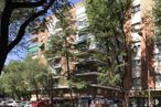 Local en alquiler en Calle Fernán Caballero, Carabanchel, Madrid, 28019 con edificio, árbol, cielo, vehículo, arquitectura, bloque de pisos, condominio, diseño urbano, ventana y planta alrededor