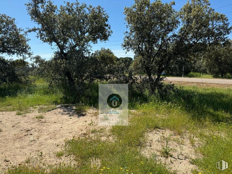 Land for sale at Calle Acacias, San Román de los Montes, Toledo, 45646 with plant, sky, tree, natural landscape, grass, plain, grassland, landscape, shrub and road around