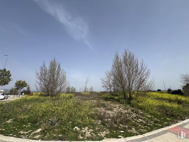 Suelo en venta en Vía Servicio A-6, Las Rozas de Madrid, Madrid, 28231 con cielo, nube, planta, superficie de la carretera, asfalto, paisaje natural, lote de terreno, árbol, pendiente y hierba alrededor