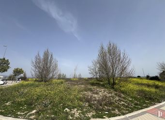 Suelo en venta en Vía Servicio A-6, Las Rozas de Madrid, Madrid, 28231 con cielo, nube, planta, superficie de la carretera, asfalto, paisaje natural, lote de terreno, árbol, pendiente y hierba alrededor