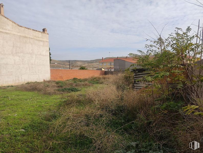 Land for sale at Calle Diego de Velazquez, 7 - 13, Huerta de Valdecarábanos, Toledo, 45750 with building, grass, plants, shrub, land lot, rural area, grassland, plain, grasses and soil around