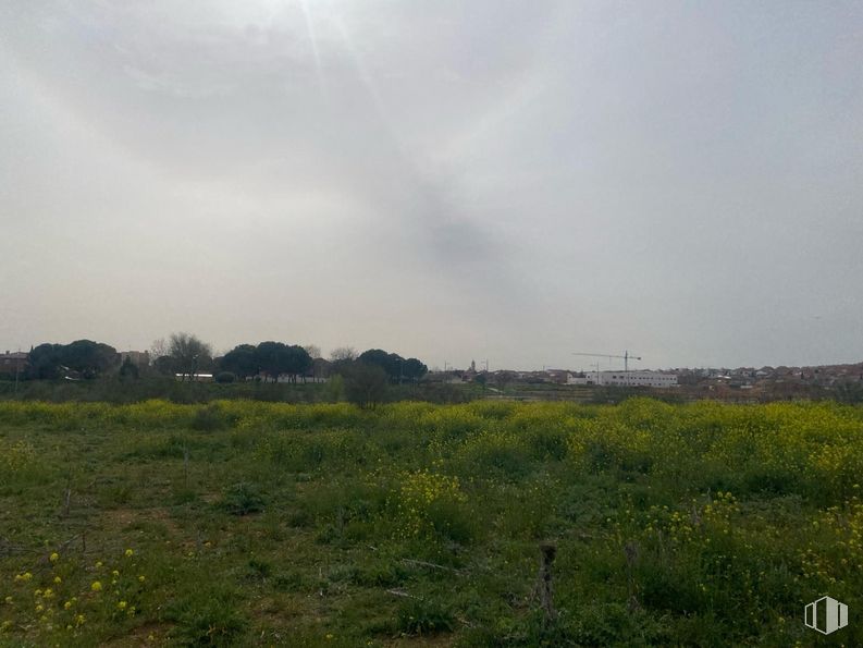 Land for sale at Calle Caspueñas, Cabanillas del Campo, Guadalajara, 19171 with cloud, sky, plant, flower, natural landscape, land lot, tree, grass, grassland and plain around