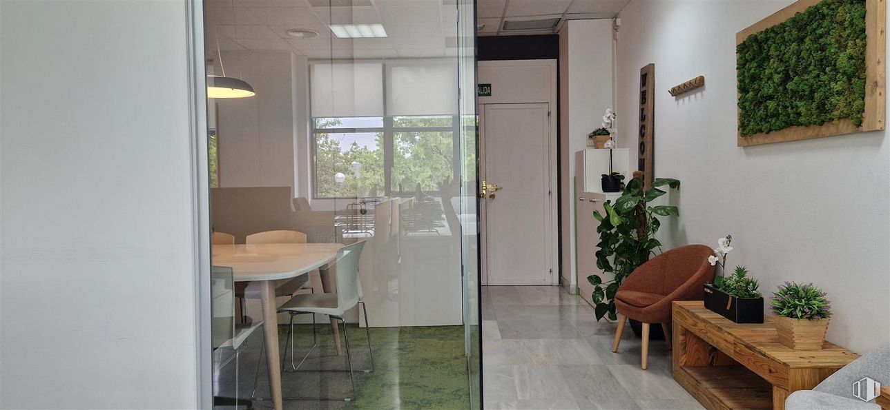 Oficina en alquiler en Calle Chile, 10, Las Rozas de Madrid, Madrid, 28290 con silla, planta de interior, mueble, planta, edificio, mesa, maceta, puerta, accesorio y madera alrededor