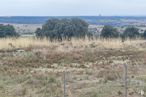 Land for sale at Paseo Olmos, Zarzuela del Monte, Segovia, 40152 with plant, sky, natural landscape, tree, vegetation, land lot, grass, water, grassland and landscape around