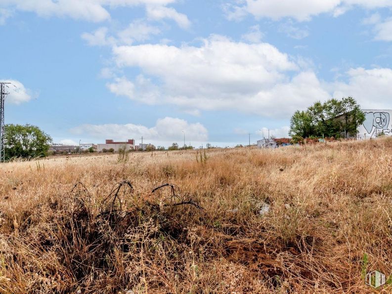 Land for sale at Calle Enero, 22, San Blas - Canillejas, Madrid, 28022 with cloud, sky, plant, plant community, ecoregion, natural landscape, tree, land lot, grass and landscape around