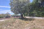 Land for sale at Calle Rocas, El Boalo, Madrid, 28413 with plant, sky, cloud, plant community, branch, tree, natural landscape, land lot, grass and woody plant around