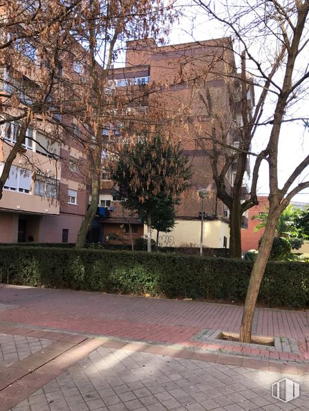 Local en alquiler y venta en Calle Teruel, 5, Fuenlabrada, Madrid, 28941 con edificio, planta, propiedad, ventana, árbol, superficie de carretera, ladrillo, diseño urbano, cielo y ramita alrededor