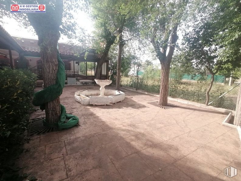 Retail for sale & for rent at Zona laguna, Villafranca de los Caballeros, Toledo, 45730 with plant, tree, shade, road surface, grass, landscape, tints and shades, leisure, outdoor furniture and soil around