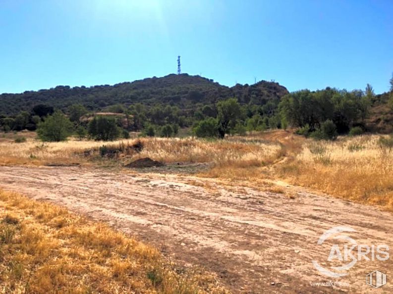 Land for sale at Zona de nueva urbanización, Chiloeches, Guadalajara, 19160 with sky, plant, plant community, natural environment, natural landscape, land lot, vegetation, tree, slope and grassland around