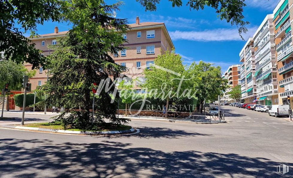 Local en venta en Barrio Atalaya, Ciudad Lineal, Madrid, 28033 con edificio, cielo, planta, durante el día, nube, árbol, superficie de la carretera, diseño urbano, barrio y ocio alrededor