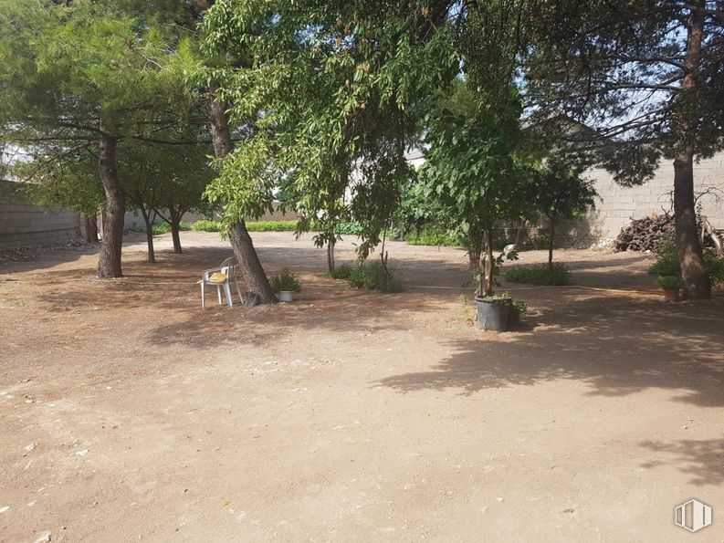 Suelo en venta en Centro urbano, Corral de Almaguer, Toledo, 45880 con árbol, suelo, sombra, planta leñosa, patio trasero, patio, calzada y sombra alrededor