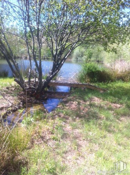 Land for sale at Zona El Rincón, s/n, Aldea del Fresno, Madrid, 28620 with water, plant, plant community, natural landscape, tree, fluvial landforms of streams, wood, watercourse, lacustrine plain and bank around