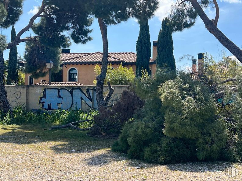 Land for sale at Zona Moncloa - Aravaca, Moncloa - Aravaca, Madrid, 28023 with house, plant, sky, property, window, nature, building, tree, architecture and land lot around