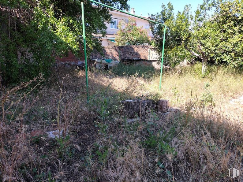 Suelo en venta en Calle Bernardino Beotas, Navalcarnero, Madrid, 28600 con casa, planta, comunidad vegetal, lote de terreno, paisaje natural, árbol, cielo, hierba, cubierta vegetal y arbusto alrededor