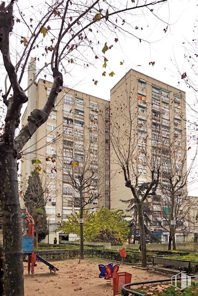 Retail for rent at Calle Cebreros, La Latina, Madrid, 28011 with building, person, plant, sky, window, leaf, branch, tree, skyscraper and twig around