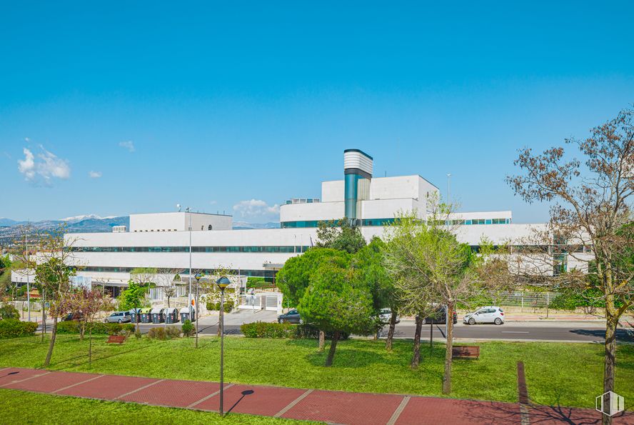 Oficina en alquiler en Elcano, Calle Severo Ochoa, 2, Las Rozas de Madrid, Madrid, 28230 con edificio, cielo, planta, árbol, terreno, diseño urbano, luz de la calle, zona residencial, paisaje y ocio alrededor