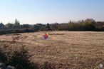 Land for sale at Zona Torrecaballeros, Torrecaballeros, Segovia, 40160 with sky, plant, plant community, tree, natural landscape, landscape, plain, agriculture, grassland and grass around