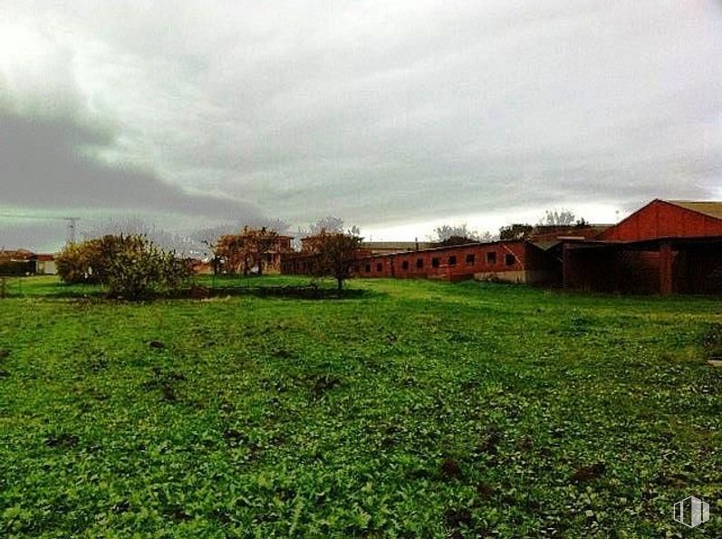 Land for sale at Domingo Pérez, Domingo Pérez, Toledo, 45544 with plant, house, building, cloud, sky, natural landscape, grass, vegetation, land lot and tree around