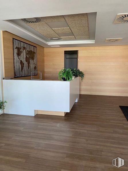 Oficina en alquiler en Edificio 1, Avenida Valdelaparra, 27, Alcobendas, Madrid, 28100 con planta, planta de interior, madera, rectángulo, piso, suelo, tinte para madera, madera dura, planta de casa, madera contrachapada y maceta alrededor