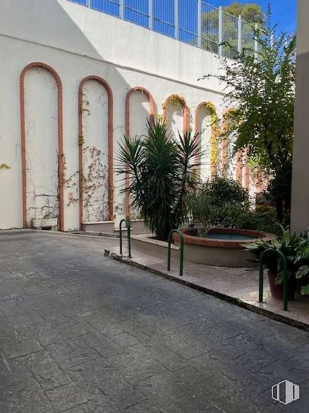 Office for rent at Calle Argumosa, Centro, Madrid, 28012 with houseplant, plant, wall, concrete, shade, palm trees, gate and hacienda around