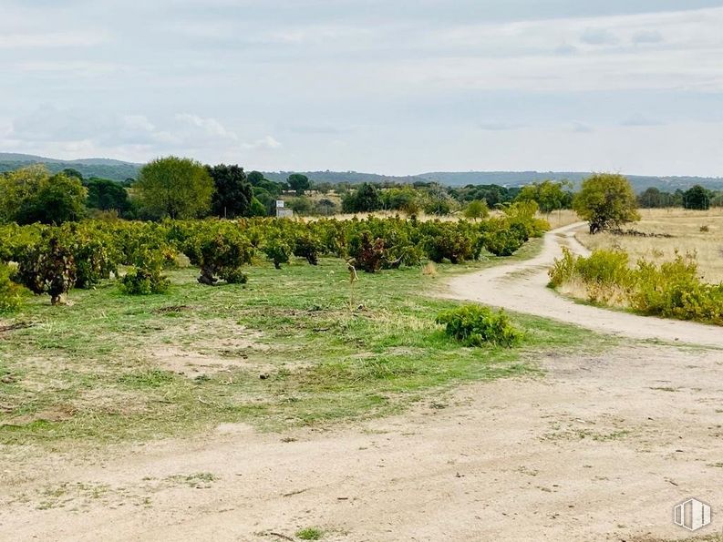 Land for sale at Carretera N-403, San Martín de Valdeiglesias, Madrid, 28680 with cloud, sky, plant, natural landscape, plain, shrub, grassland, meadow, landscape and tree around