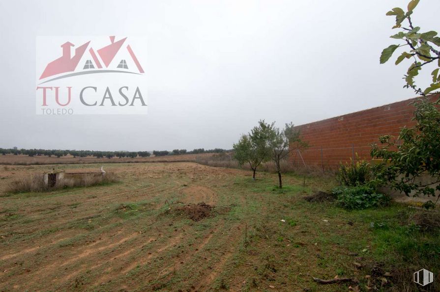 Land for sale at Camino Polán, S/N, Polán, Toledo, 45161 with plant, sky, natural landscape, land lot, grass, atmospheric phenomenon, biome, landscape, plain and road around