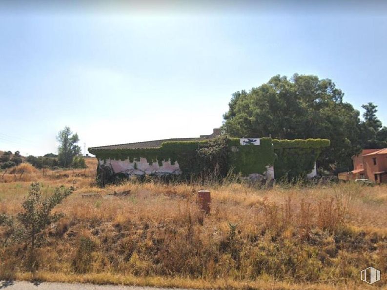 Industrial for sale at Carretera Oropesa - Lagartera, Oropesa, Toledo, 45560 with sky, plant, tree, natural landscape, cloud, land lot, plain, grassland, landscape and wood around