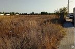 Land for sale at Calle Hades, Meco, Madrid, 28880 with street light, plant, sky, natural landscape, tree, tire, grass, landscape, grassland and agriculture around