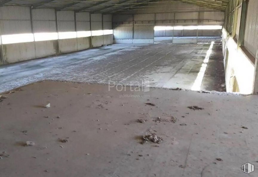 Industrial for sale at Zona Industrial, Torrejón del Rey, Guadalajara, 19174 with animal, floor, flooring, wood, composite material, road surface, concrete, event, asphalt and soil around