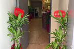 Retail for sale at Calle Pilarica, Usera, Madrid, 28026 with houseplant, plant, flower, flowerpot, building, green, vase, interior design, floor and red around