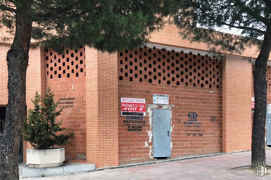 Local en venta en Calle Tulipán, Móstoles, Madrid, 28933 con maceta, planta de interior, puerta, edificio, árbol, planta, ladrillo, albañilería, superficie de la carretera y gas alrededor