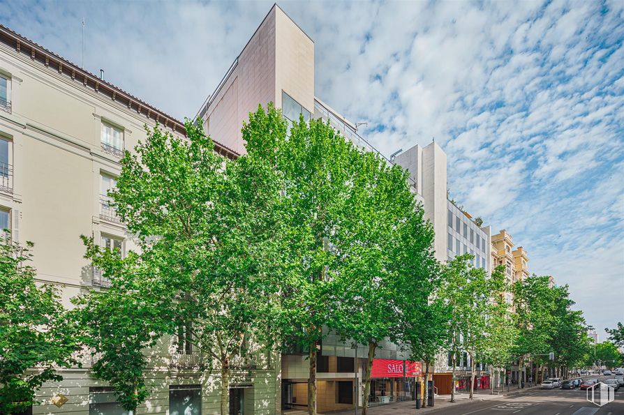 Oficina en alquiler en Calle Serrano, 55, Salamanca, Madrid, 28006 con edificio, nube, cielo, durante el día, ventana, diseño urbano, vegetación, superficie de la carretera, árbol y condominio alrededor