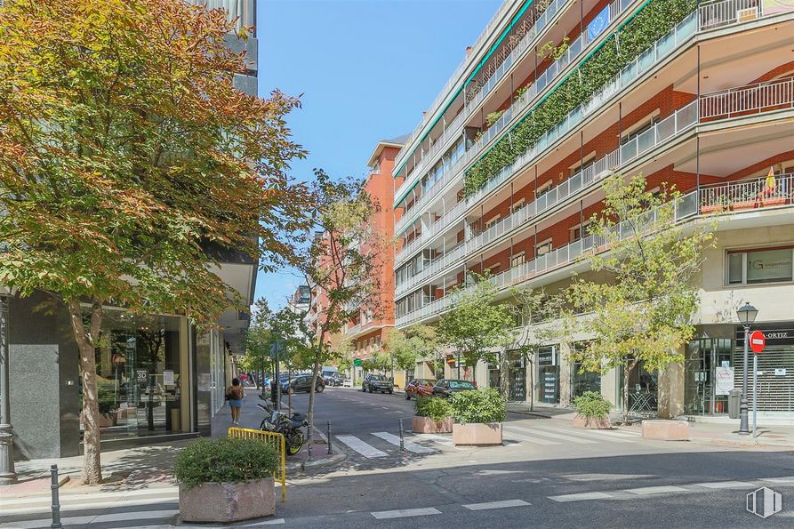 Local en alquiler y venta en Zona Salamanca, Salamanca, Madrid, 28006 con edificio, maceta, planta, cielo, ventana, diseño urbano, árbol, superficie de la carretera, condominio y casa alrededor