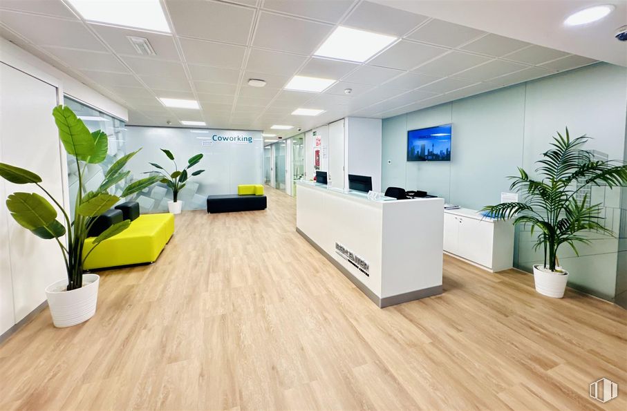 Office for rent at Plaza Carlos Trías Bertrán, 4, Tetuán, Madrid, 28020 with houseplant, furniture, television, interior design, flooring, floor, ceiling, lighting, wood flooring and composite material around