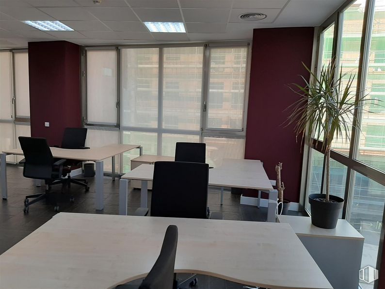 Oficina en alquiler y venta en Edificio Altagracia I, Calle Segundo Mata, 1, Pozuelo de Alarcón, Madrid, 28224 con silla, planta de interior, escritorio, mesa, mesa, ventana, mueble, edificio, planta y silla de oficina alrededor