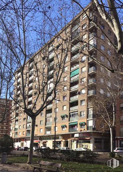 Retail for sale & for rent at Calle Capitán Cortés, 31, Talavera de la Reina, Toledo, 45600 with building, sky, plant, window, tree, tower block, urban design, condominium, biome and material property around