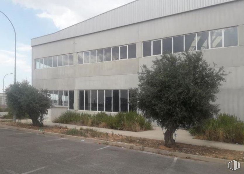 Industrial for sale at Carretera Villarrubia, Noblejas, Toledo, 45350 with window, building, plant, cloud, sky, architecture, tree, real estate, facade and city around