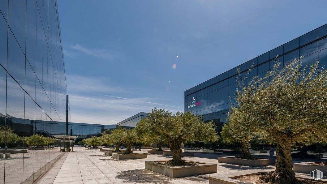 Oficina en alquiler en Paseo Club Deportivo, 1, Pozuelo de Alarcón, Madrid, 28223 con edificio, cielo, planta, nube, árbol, diseño urbano, mañana, sombra, ciudad y bienes raíces alrededor