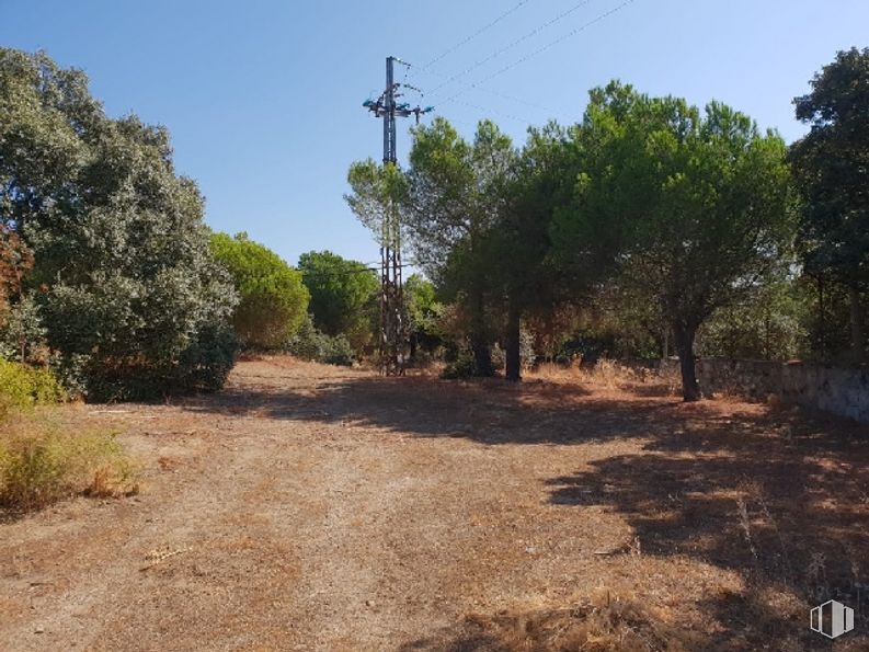 Local en venta en Avenida Serranía Ronda, Valdemorillo, Madrid, 28210 con planta, cielo, paisaje natural, superficie de carretera, árbol, asfalto, arbusto, hierba, paisaje y carretera alrededor