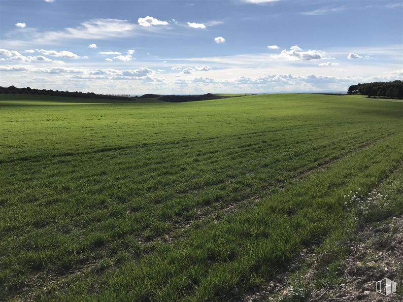 Land for sale at Finca Valdeapa, Chiloeches, Guadalajara, 19160 with cloud, sky, plant, natural landscape, land lot, agriculture, grass, landscape, grassland and horizon around