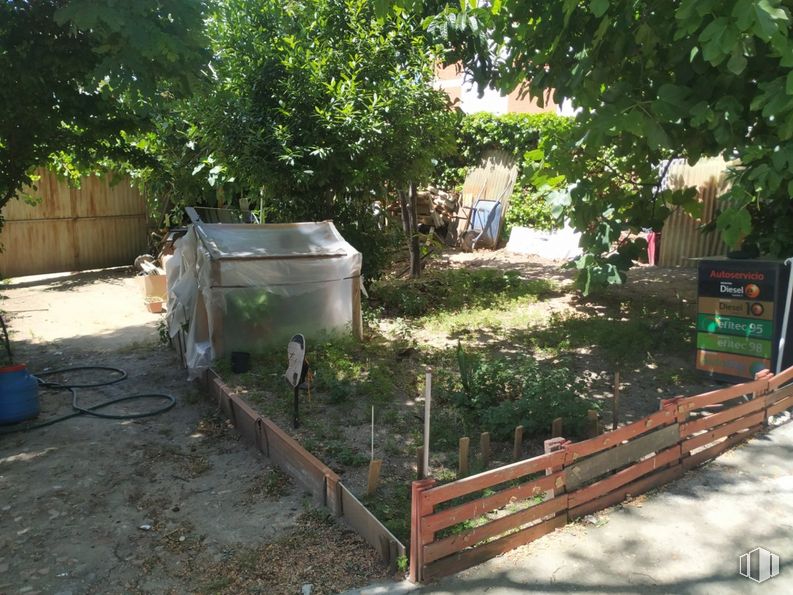 Suelo en venta en Camino Viejo de Vicálvaro, Vicálvaro, Madrid, 28032 con planta, árbol, superficie de carretera, hierba, lote de tierra, madera, espacio público, pared, asfalto y paisaje alrededor